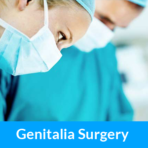 Genitalia Surgery