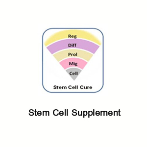 Stem Cell Supplement