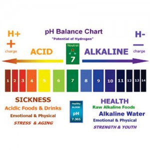 Alkaline Water Ionizer