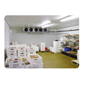 Cold Storage Room