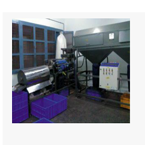 Cashew Processing Machine Manufacturers