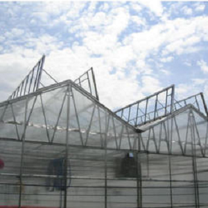 Manufacturer of Greenhouse