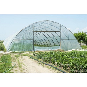 GreenHouse