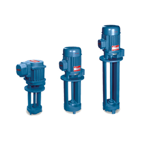 Manufacturer of Submersible Pumps