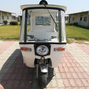 Electric Rikshaw