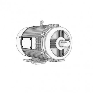 Electric Motor