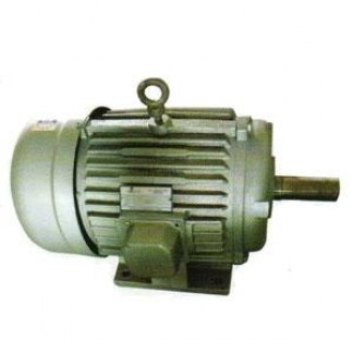 Foot Mounted Electric Motor