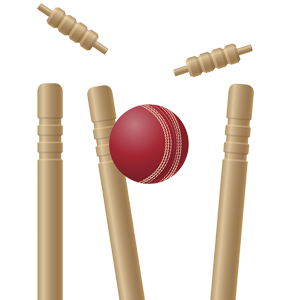 Cricket Stumps