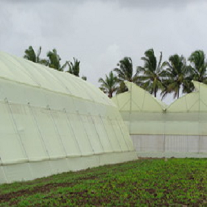 Manufacturers of Greenhouse