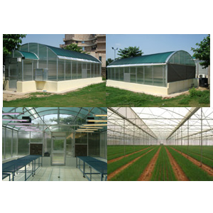 Suppliers of Greenhouse