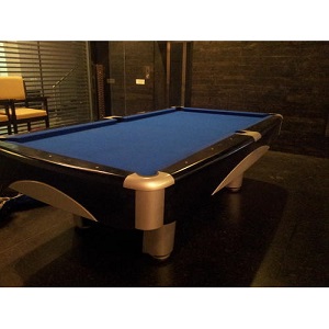 Exporters of Pool Table